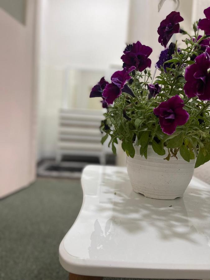 Apartment-Rubin Pristina Kültér fotó